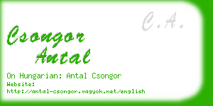 csongor antal business card